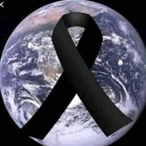 Meet your Posher, Roosyy